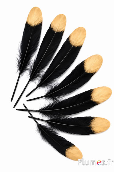 Gans gouden punt - 15-21 cm - zwart